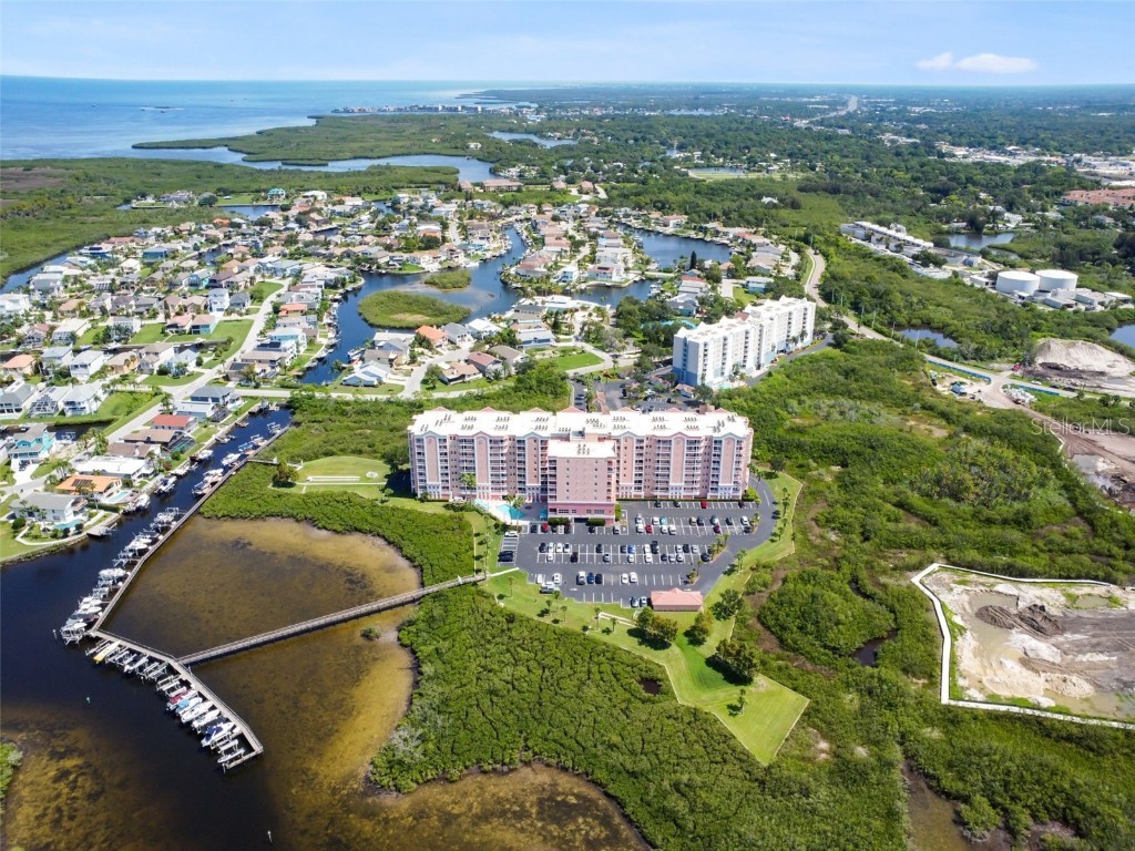 4516 Seagull Drive #807 New Port Richey FL 34652 TB8446023 image76