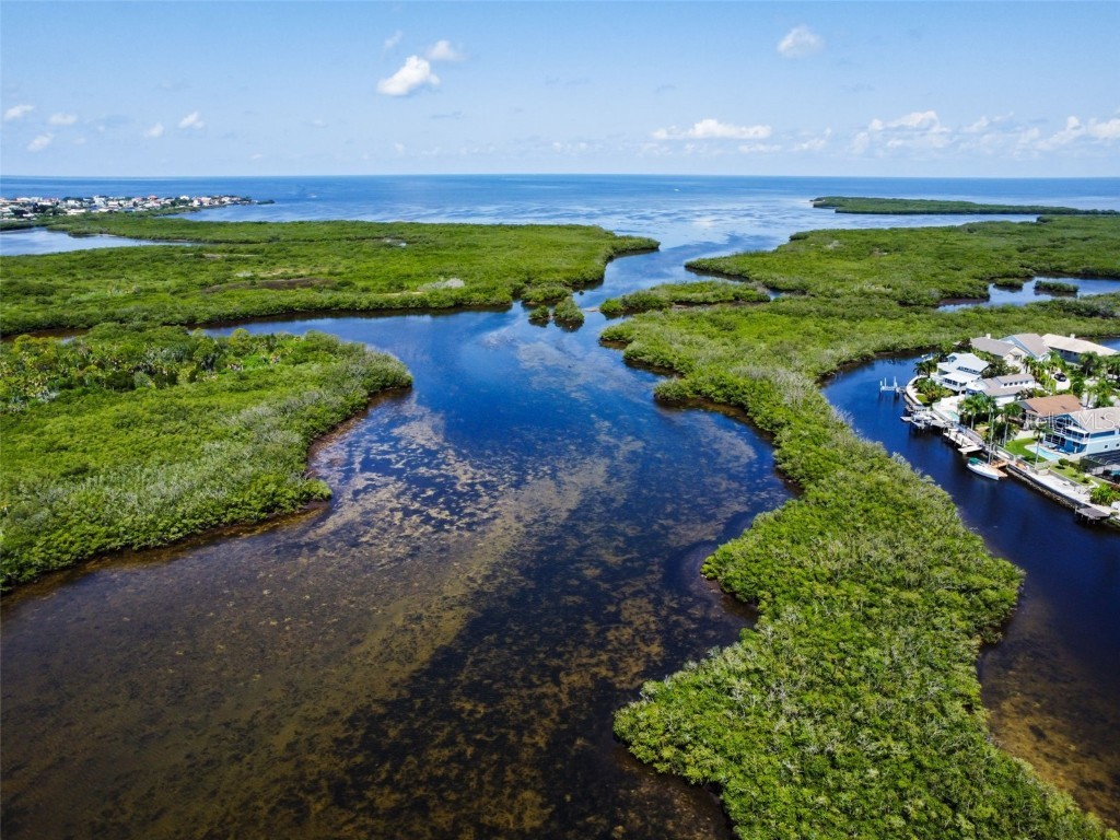 4516 Seagull Drive #807 New Port Richey FL 34652 TB8446023 image77