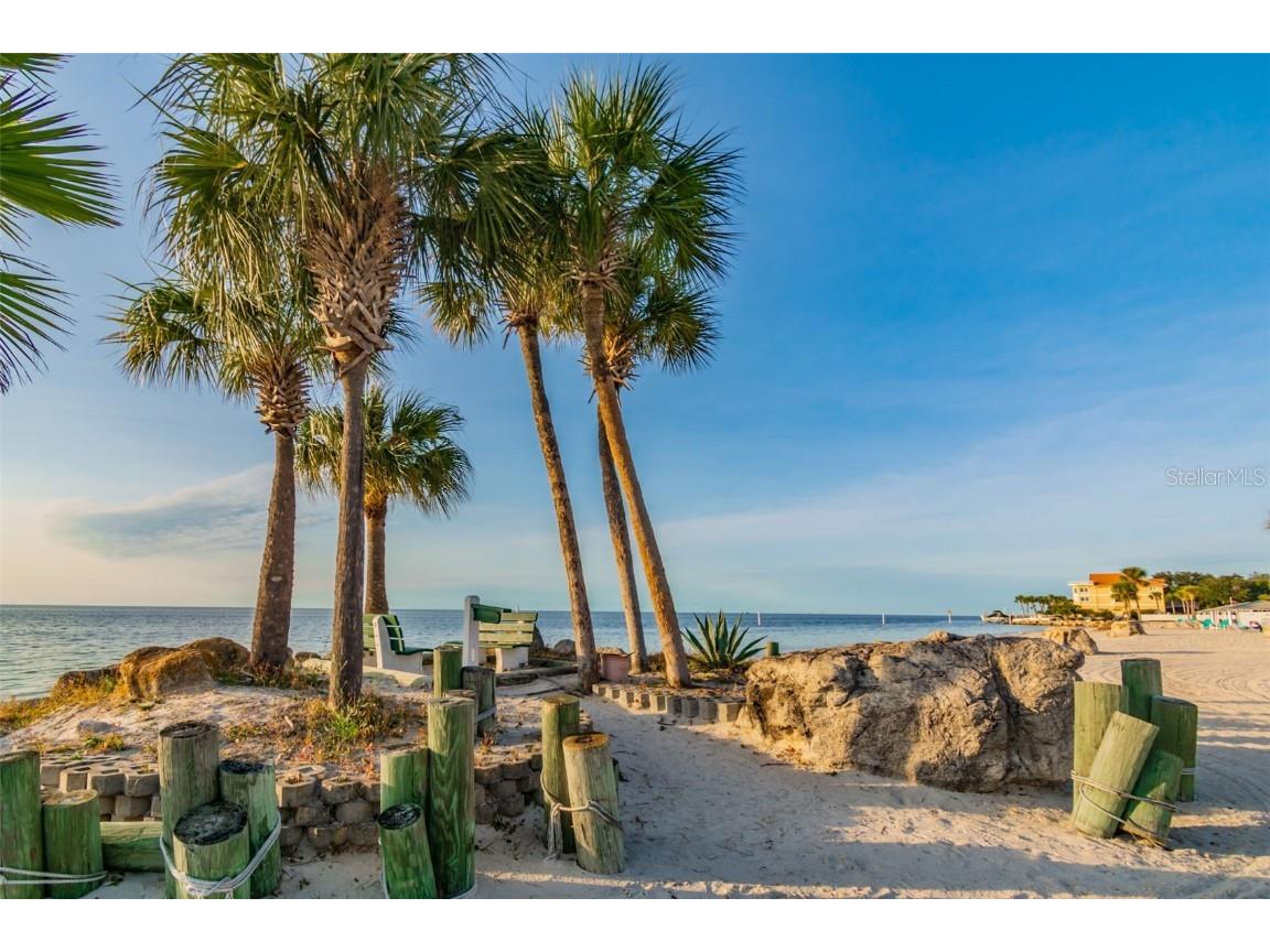 4516 Seagull Drive #807 New Port Richey FL 34652 TB8446023 image99