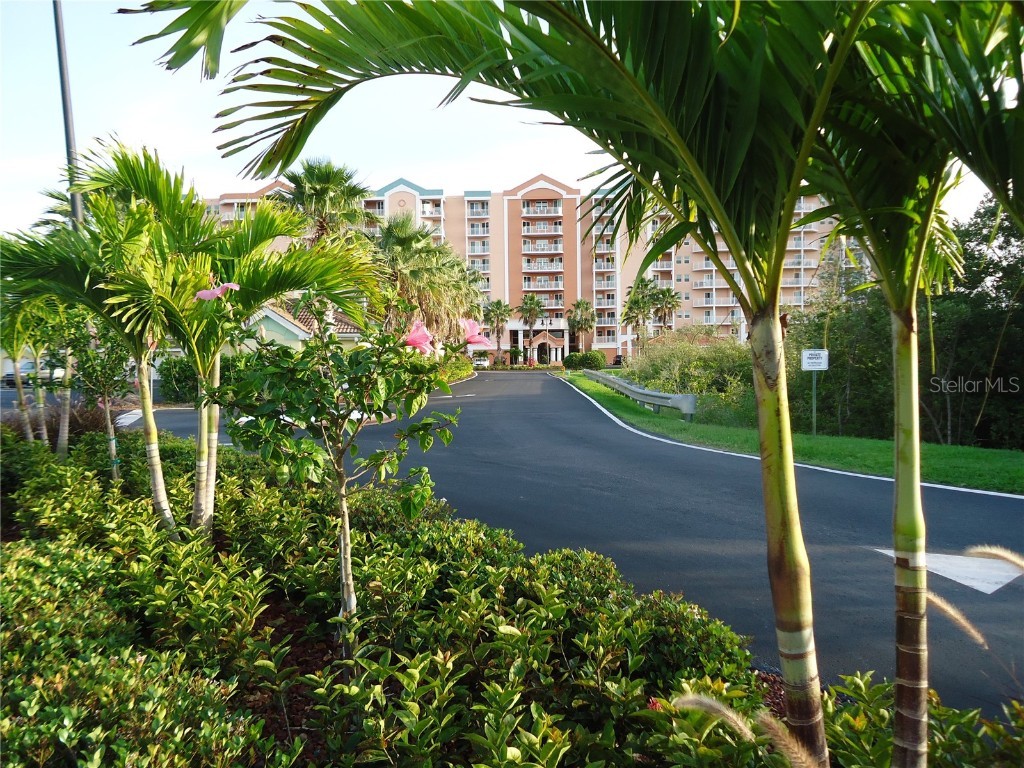 4516 Seagull Drive #810 New Port Richey FL 34652 - GULF OF MEXICO W7875807 image4