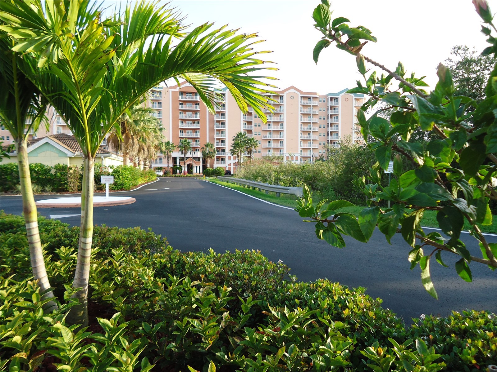 4516 Seagull Drive #810 New Port Richey FL 34652 W7882065 image2