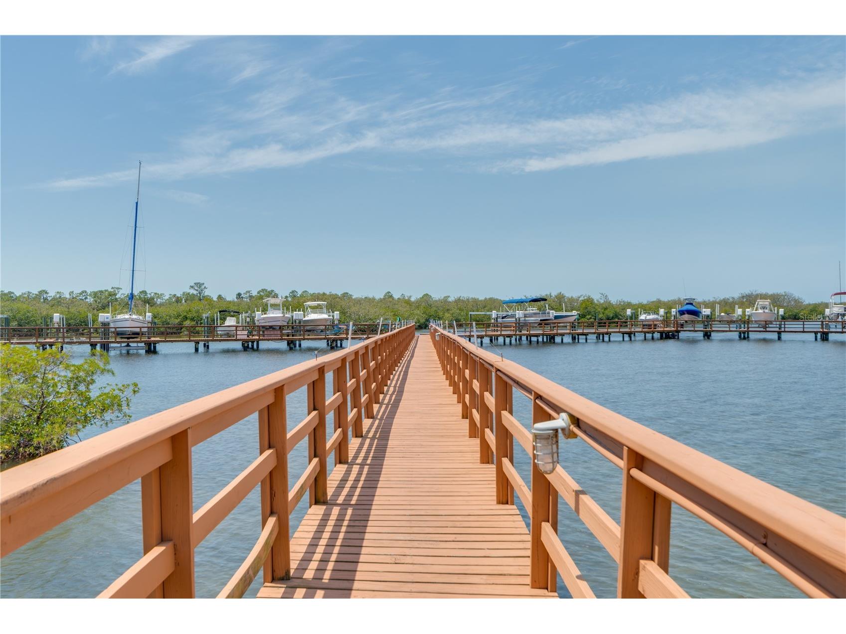 4516 Seagull Drive #810 New Port Richey FL 34652 W7882065 image21