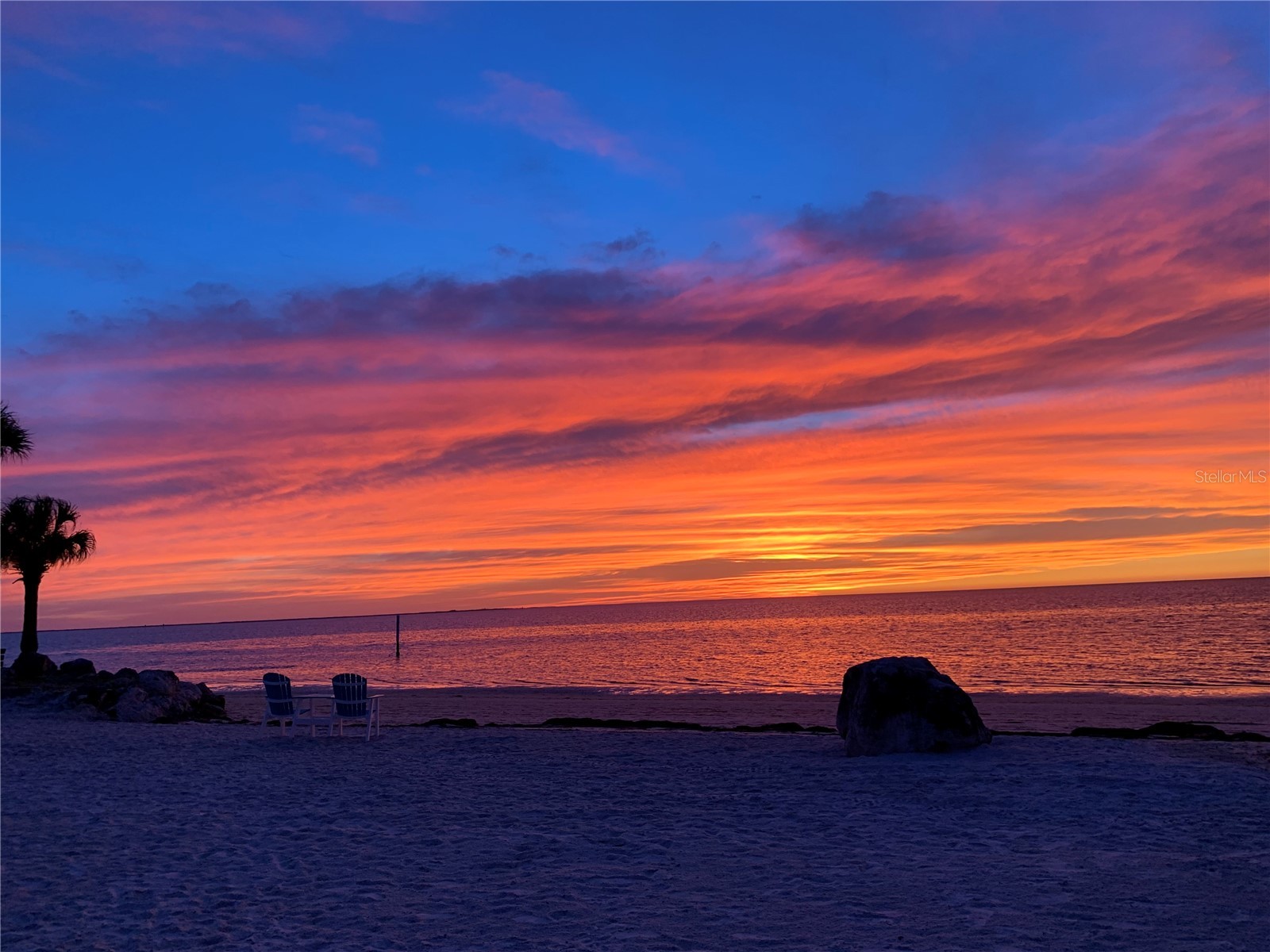 4516 Seagull Drive #810 New Port Richey FL 34652 W7882065 image52