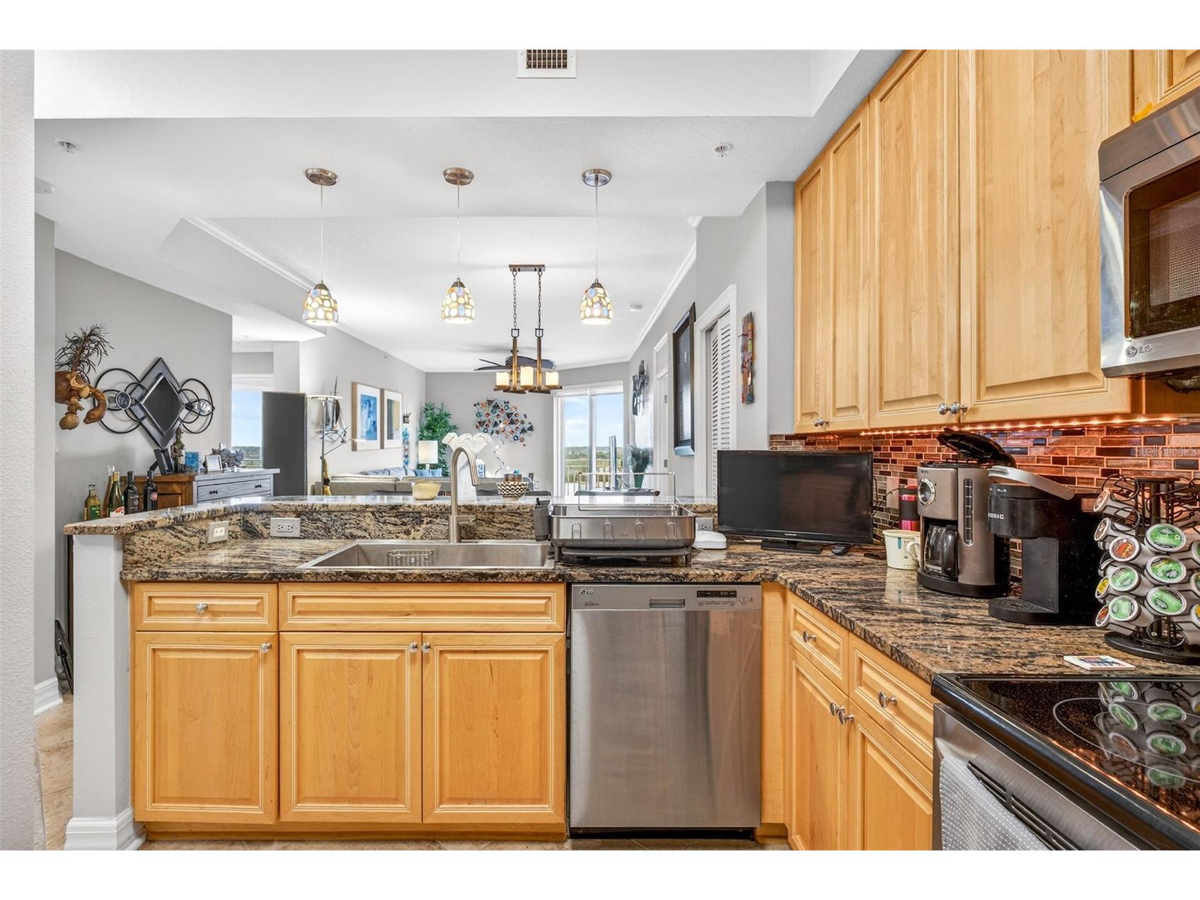 4516 Seagull Drive #902 New Port Richey FL 34652 W7883893 image3