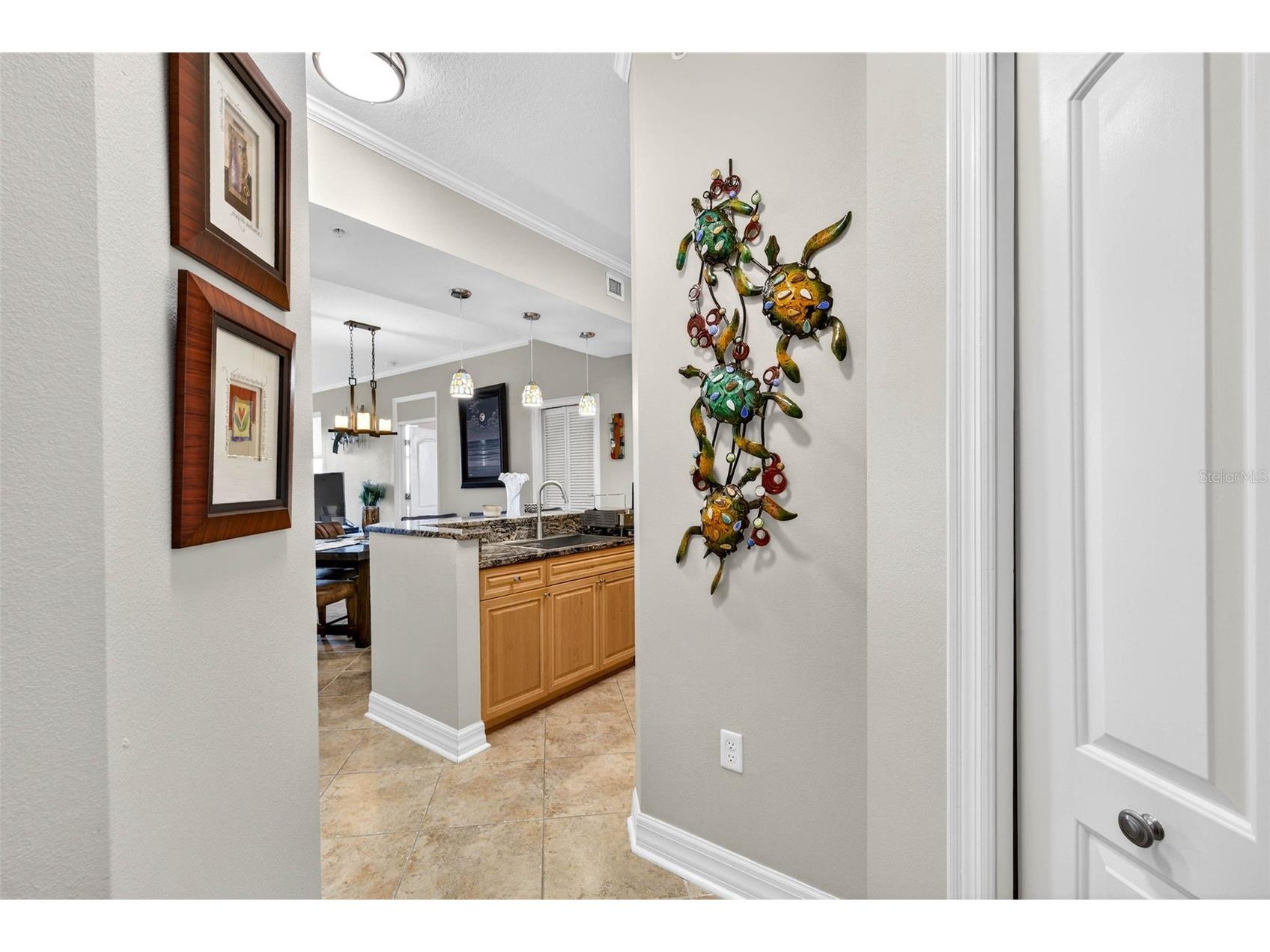 4516 Seagull Drive #902 New Port Richey FL 34652 W7883893 image53