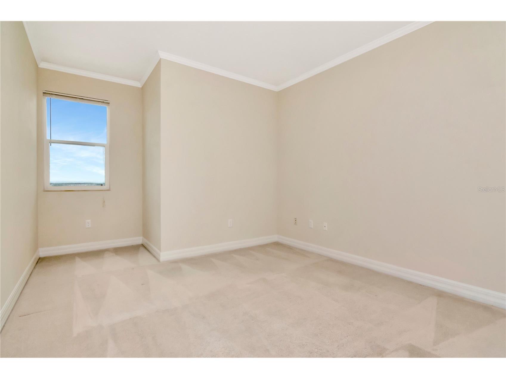 4516 Seagull Drive #916 New Port Richey FL 34652 TB8504185 image23