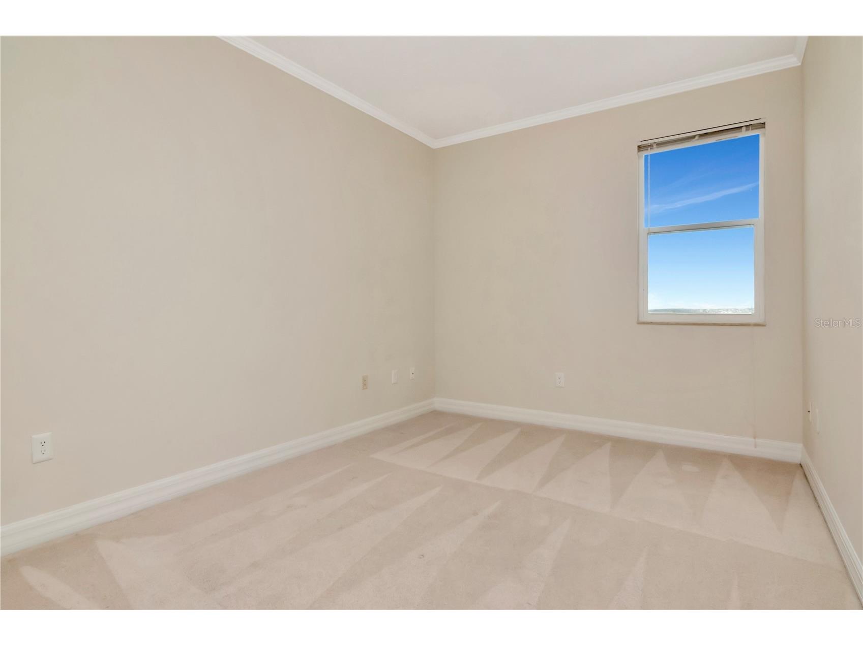 4516 Seagull Drive #916 New Port Richey FL 34652 TB8504185 image28