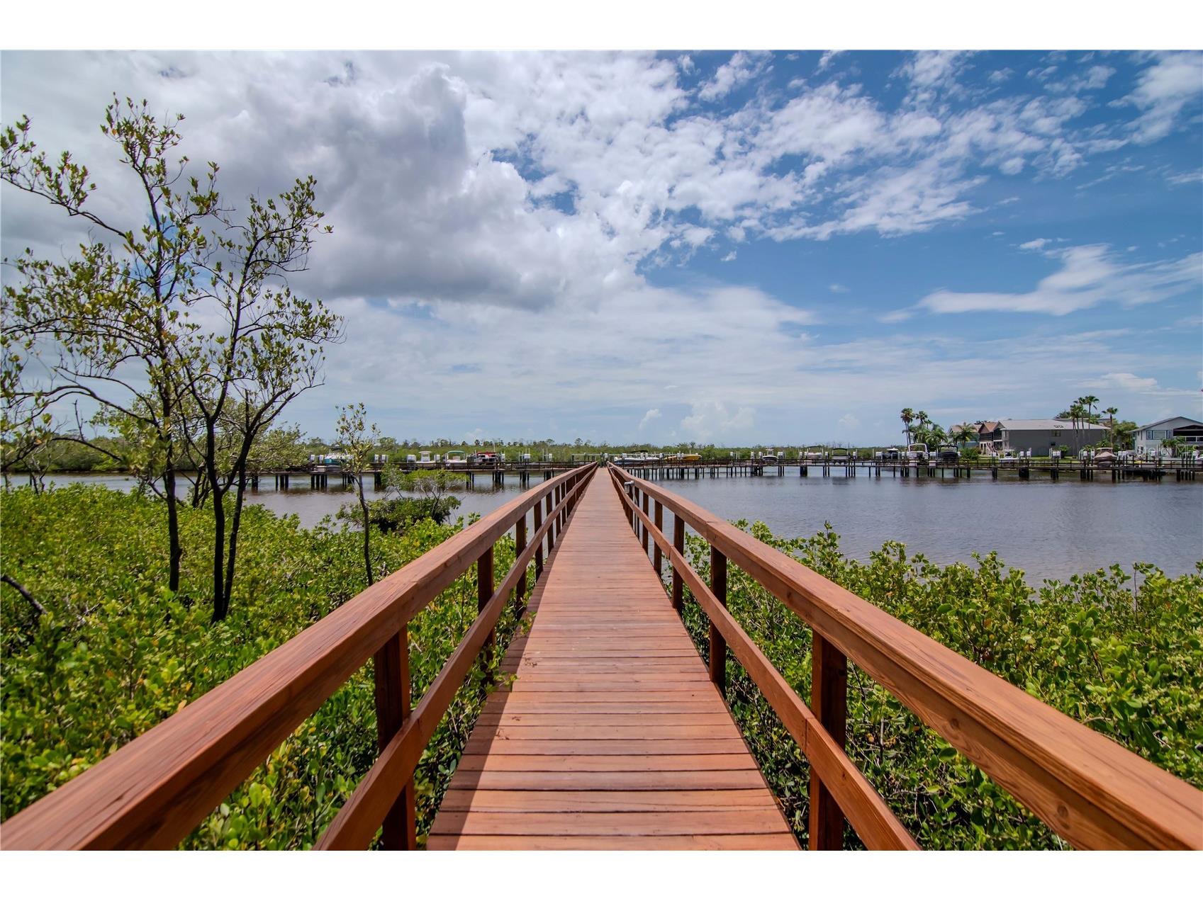 4516 Seagull Drive #916 New Port Richey FL 34652 TB8504185 image53