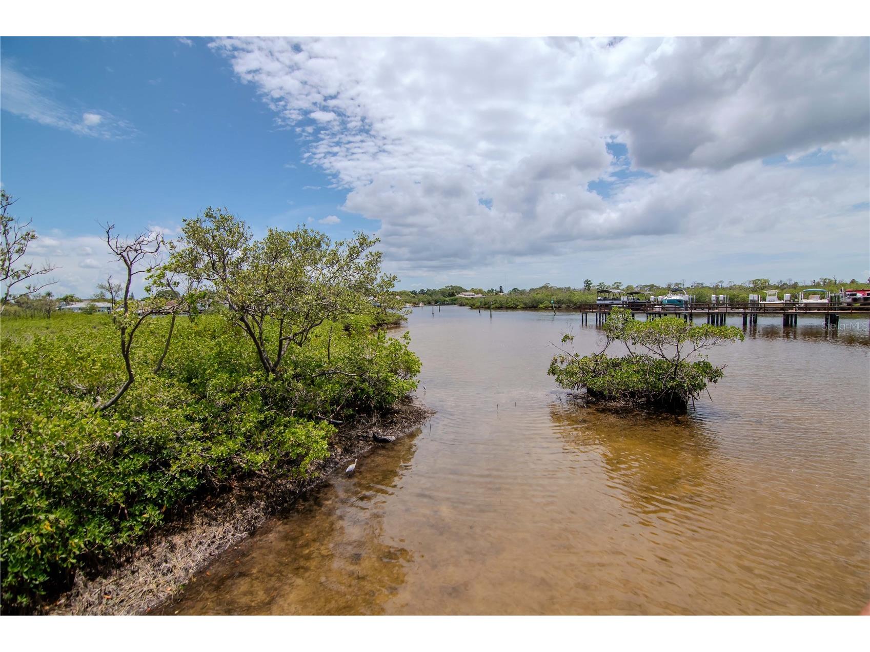 4516 Seagull Drive #916 New Port Richey FL 34652 TB8504185 image54