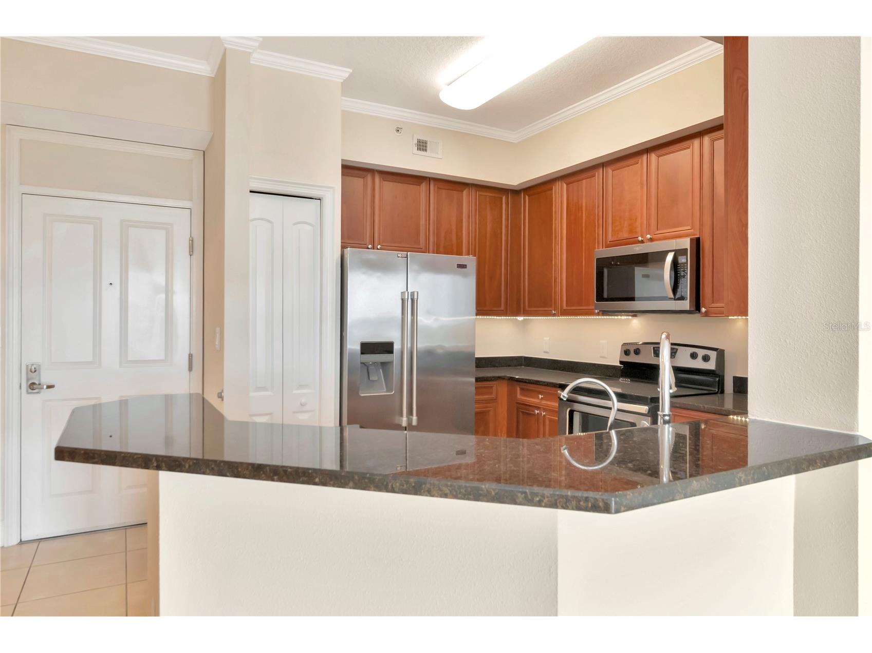4516 Seagull Drive #916 New Port Richey FL 34652 TB8510754 image3