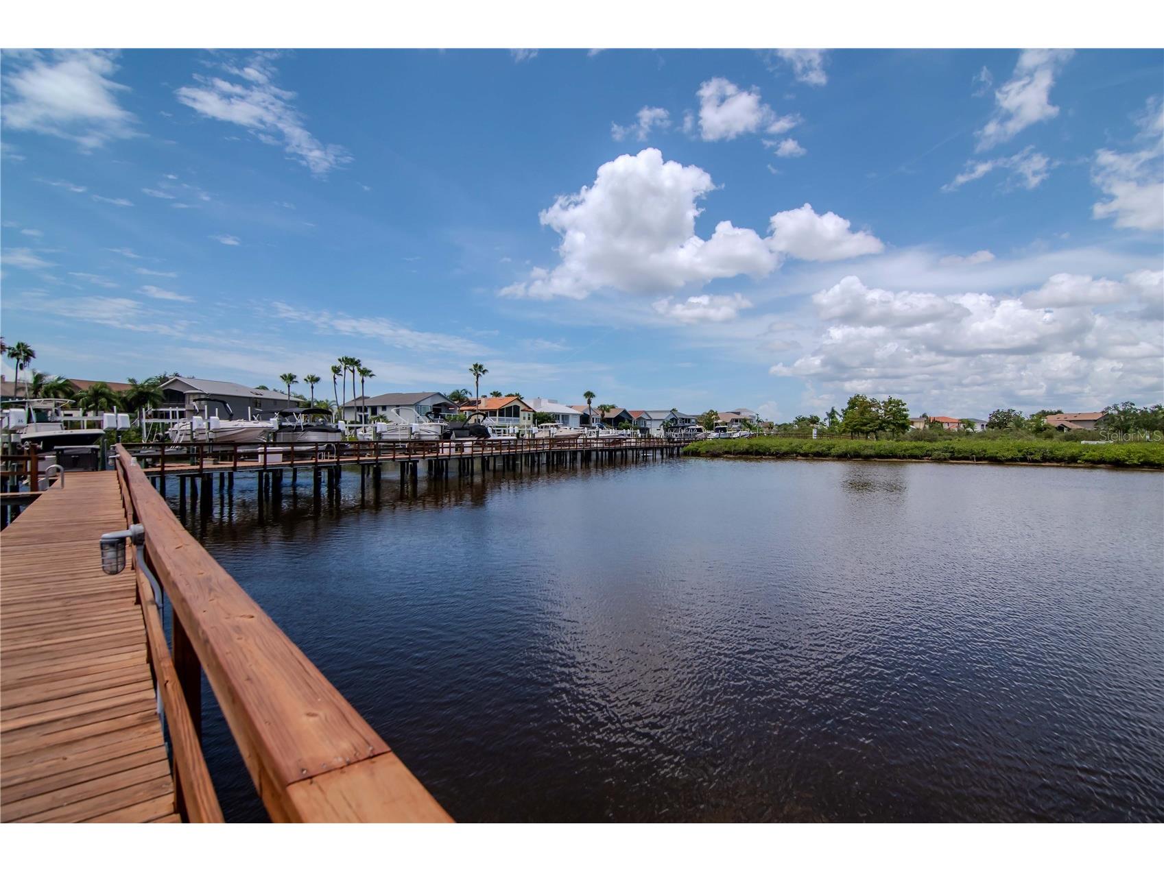 4516 Seagull Drive #916 New Port Richey FL 34652 TB8510754 image56