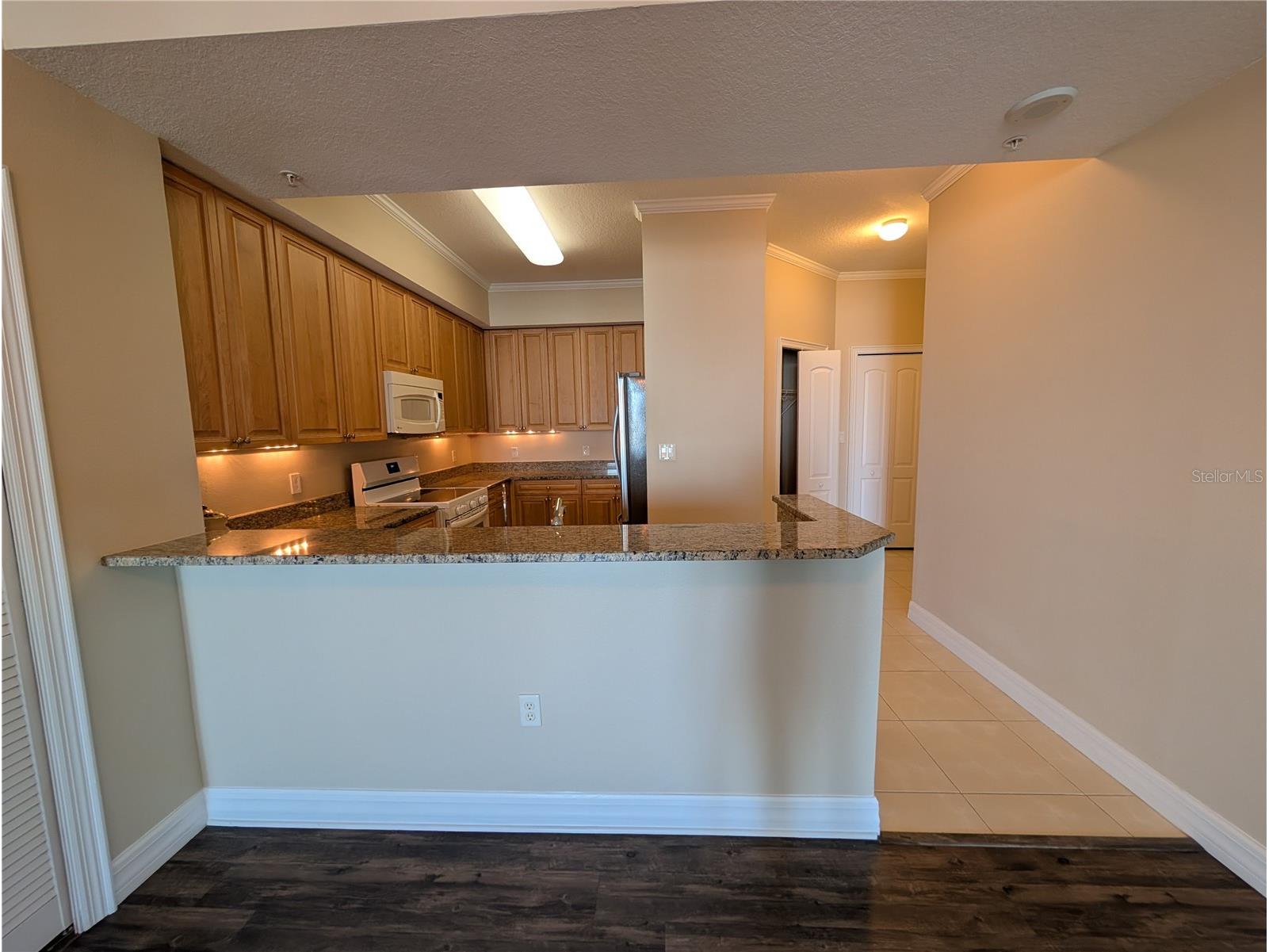 4516 Seagull Drive #919 New Port Richey FL 34652 W7885239 image7