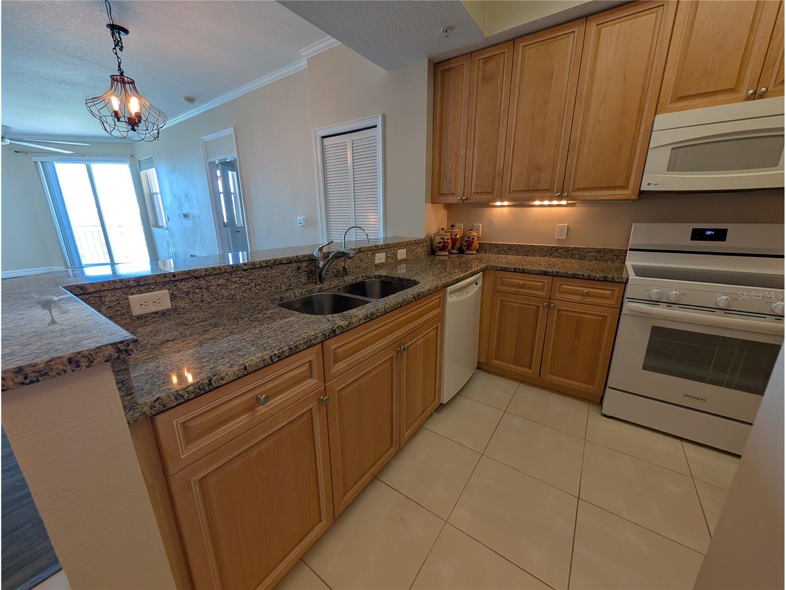 4516 Seagull Drive #919 New Port Richey FL 34652 W7885239 image8