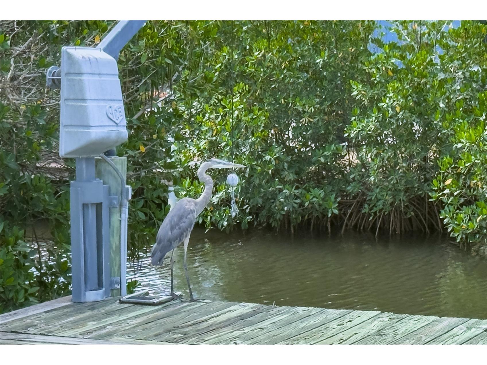 4517 8th Street Court E Ellenton FL 34222 A4694044 image64