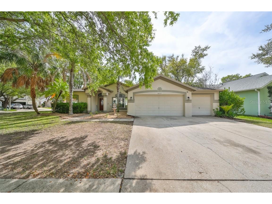 4517 Compass Oaks Drive Valrico FL 33596 T3510083 image1