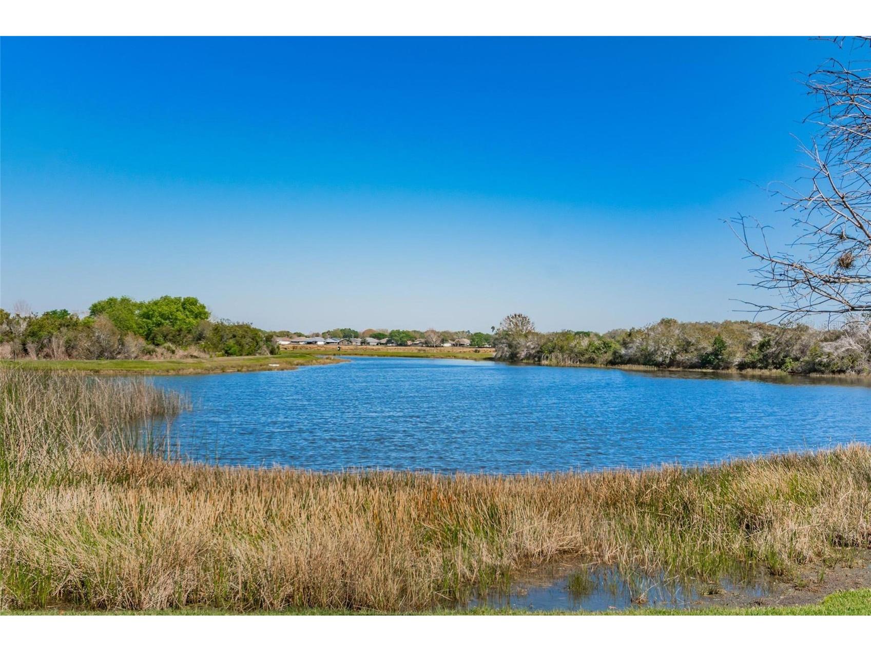 4517 Kennewick Place Riverview FL 33578 TB8509770 image24