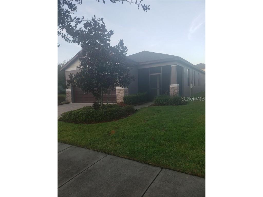 4517 Paper Mulberry Place Riverview FL 33578 O6161469 image1