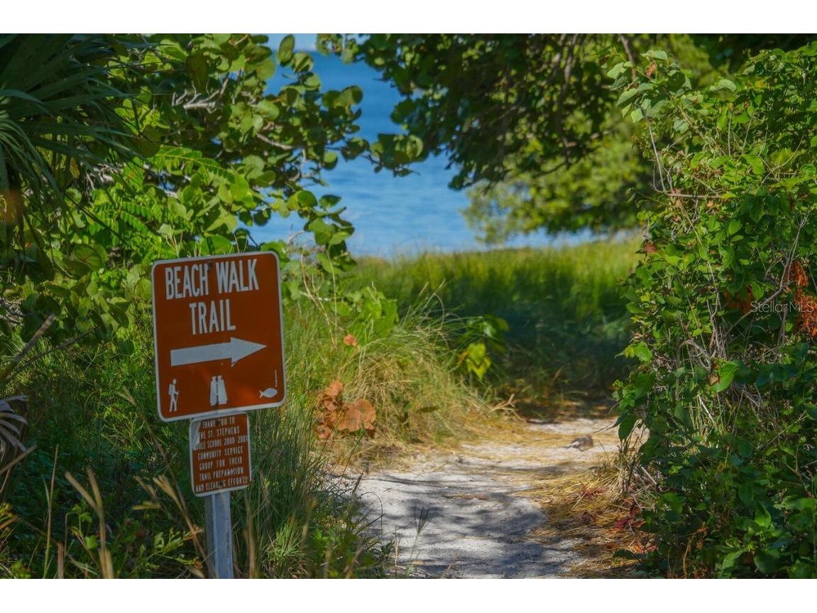 4517 Pinfish Lane Palmetto FL 34221 A4648872 image58