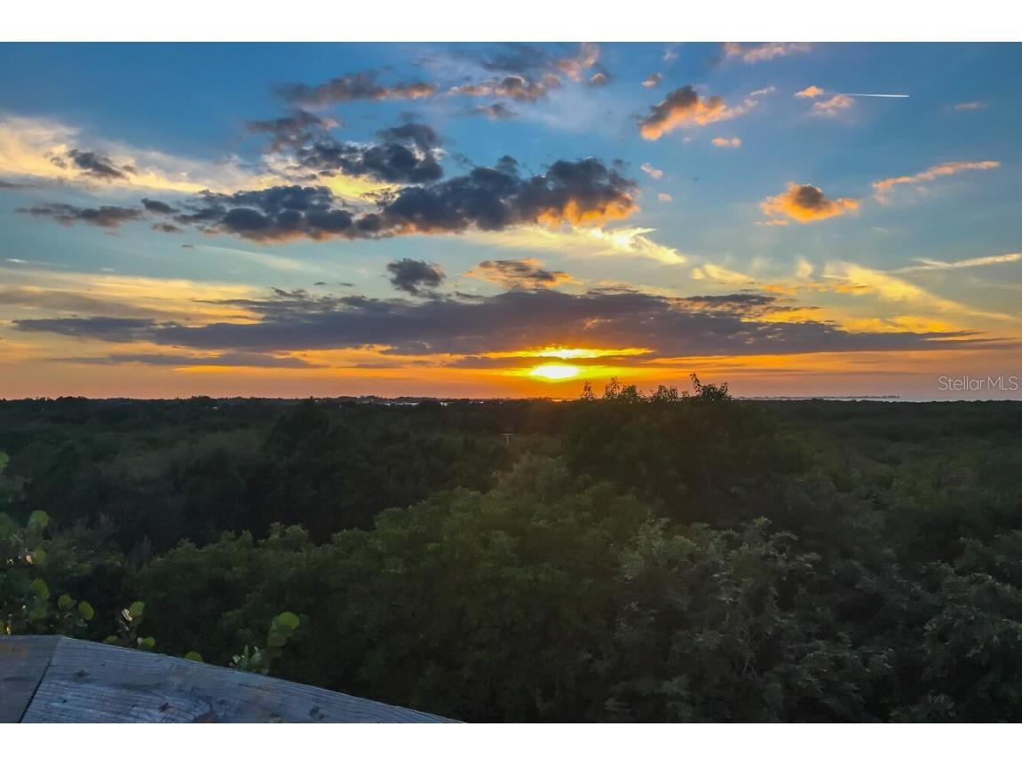 4517 Pinfish Lane Palmetto FL 34221 A4648872 image60