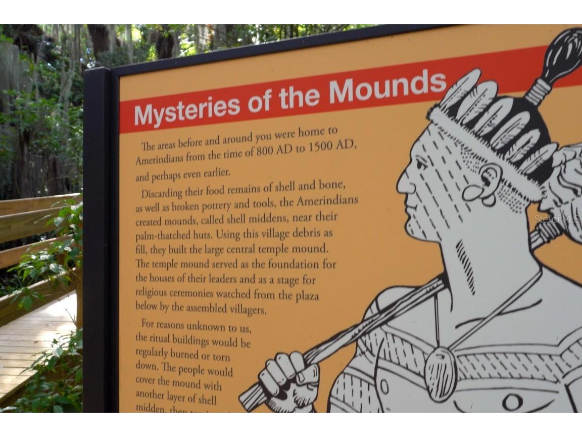 4517 Pinfish Lane Palmetto FL 34221 A4648872 image68