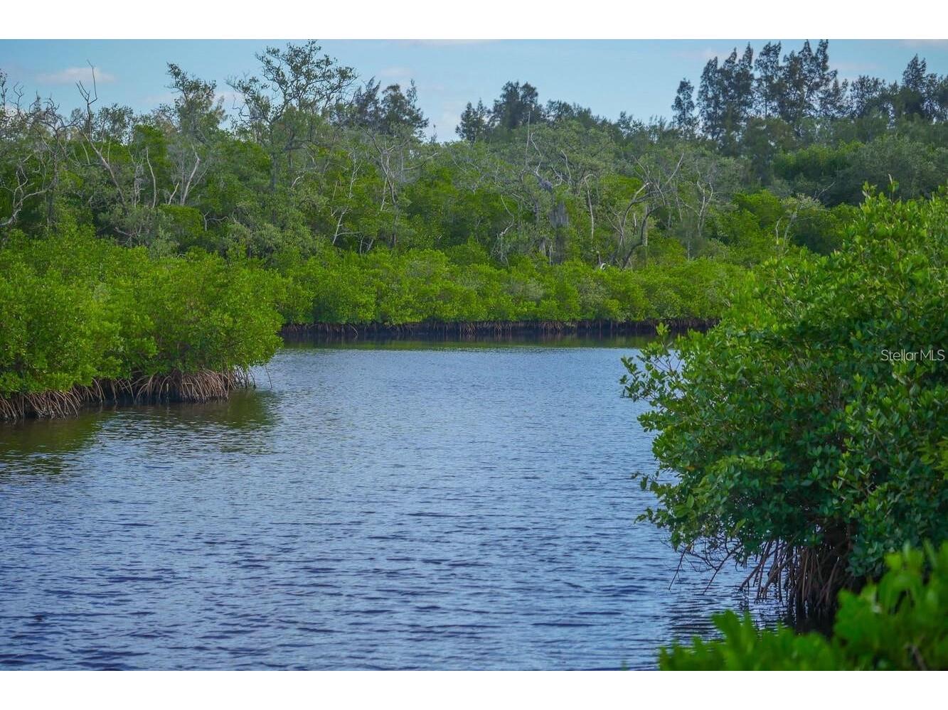 4517 Pinfish Lane Palmetto FL 34221 A4683959 image74