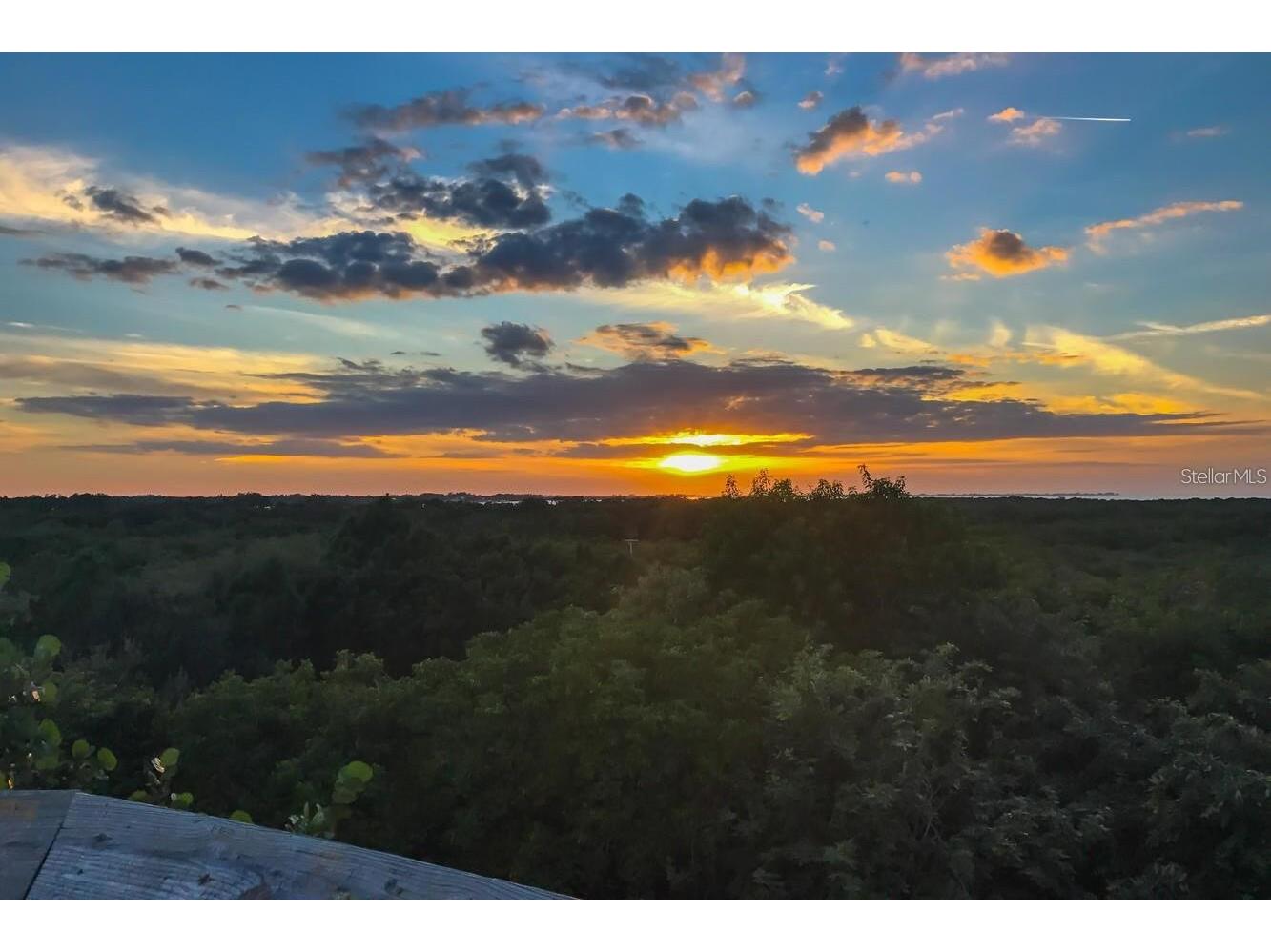 4517 Pinfish Lane Palmetto FL 34221 A4683959 image78