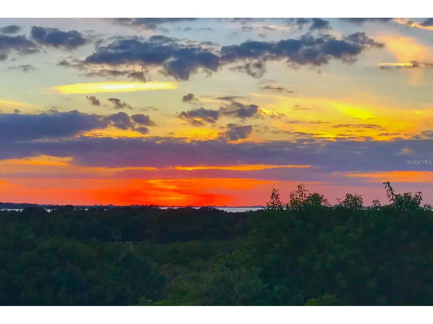 4517 Pinfish Lane Palmetto FL 34221 A4683959 image79