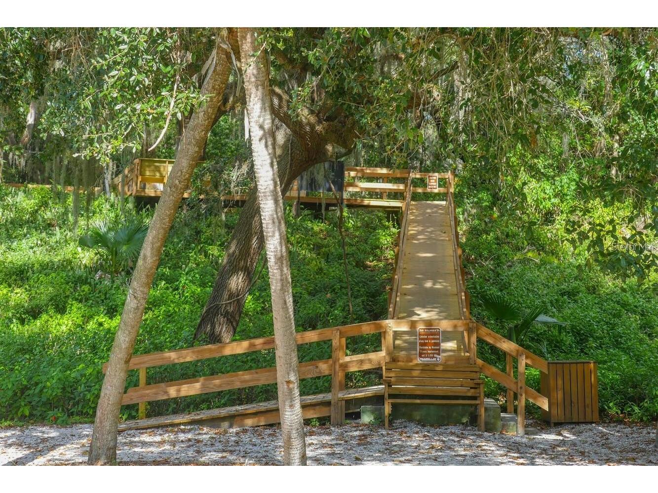 4517 Pinfish Lane Palmetto FL 34221 A4683959 image83