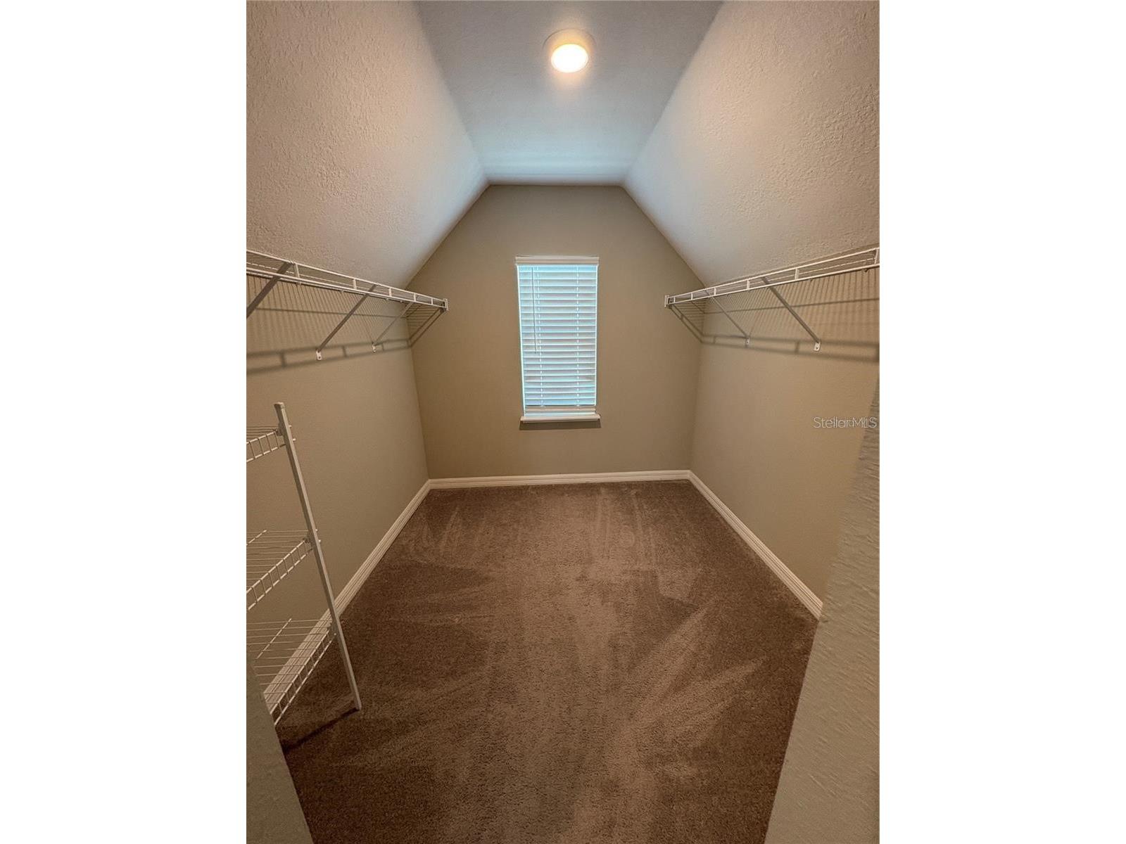 4517 Reisswood Loop Palmetto FL 34221 TB8492917 image14