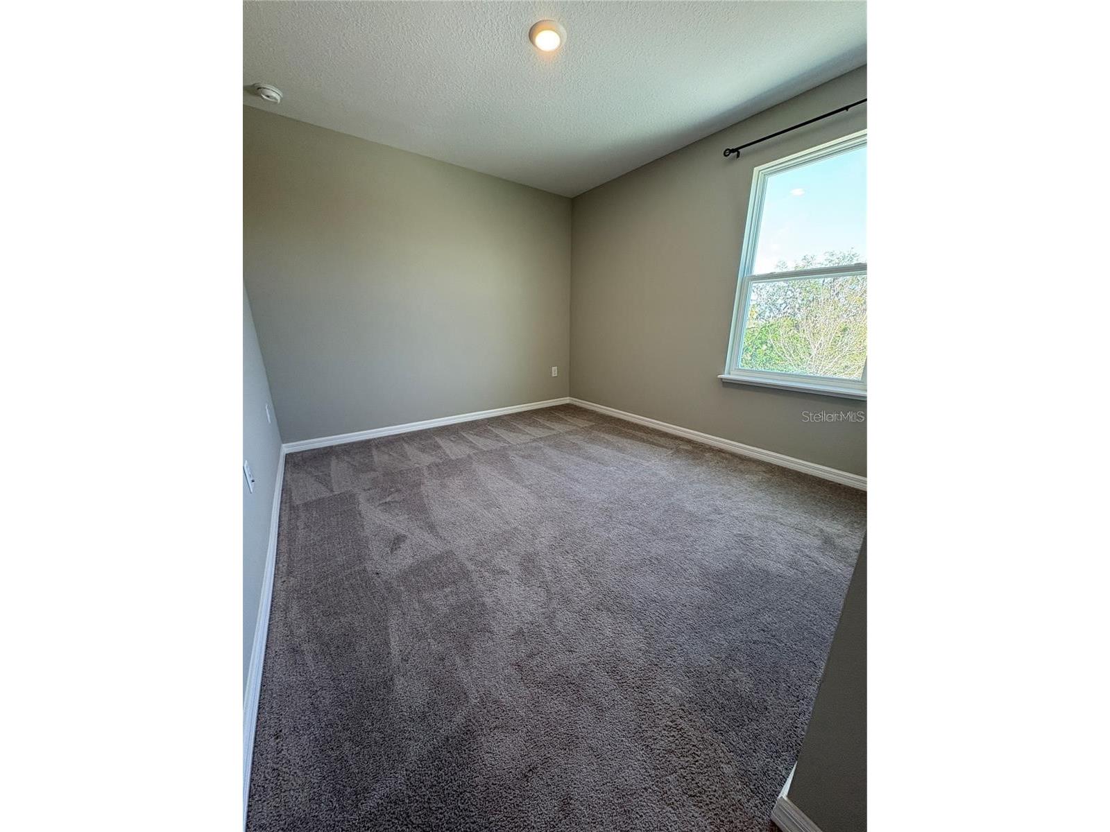 4517 Reisswood Loop Palmetto FL 34221 TB8492917 image19