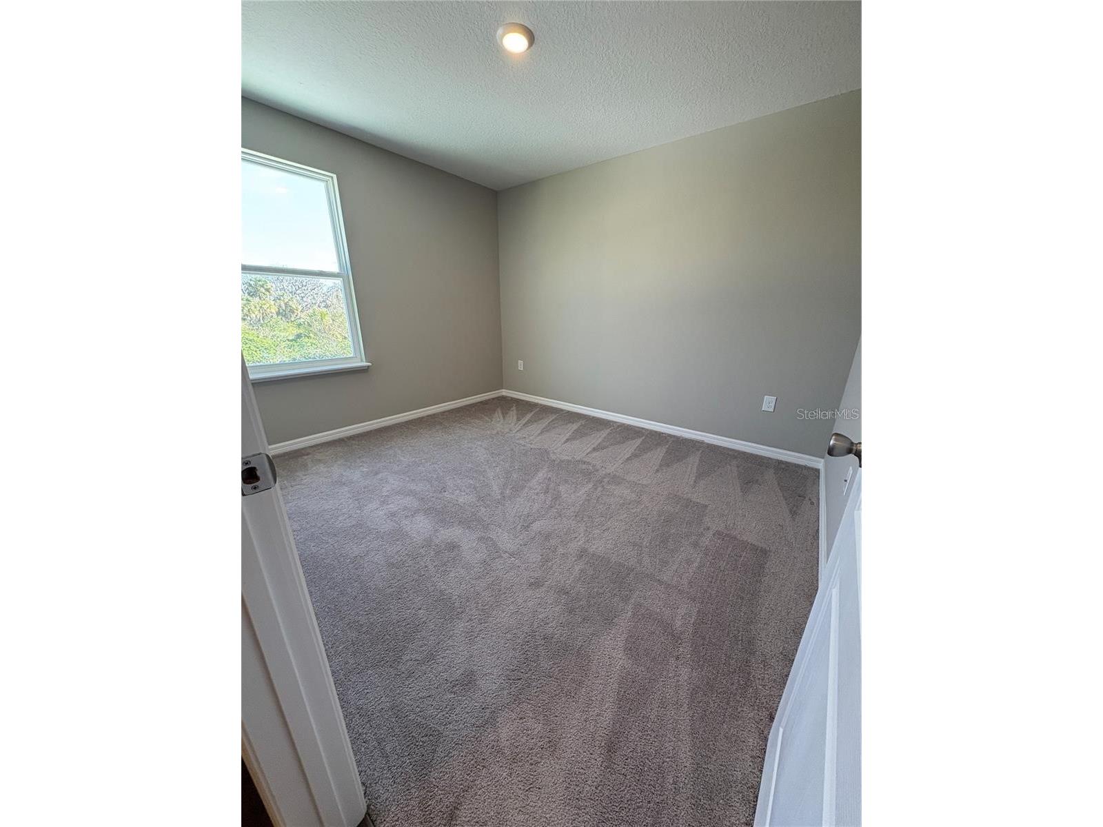 4517 Reisswood Loop Palmetto FL 34221 TB8492917 image20