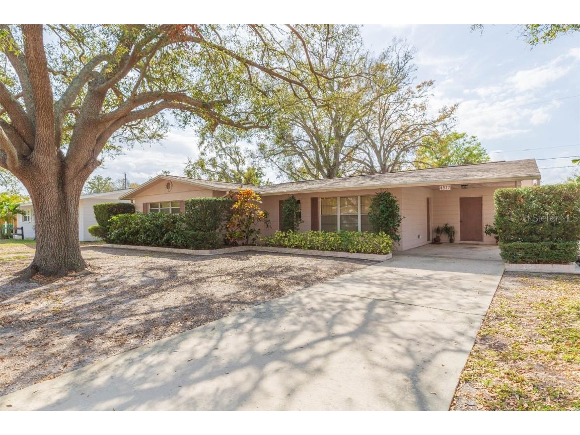 4517 S Renellie Drive Tampa FL 33611 TB8357832 image2