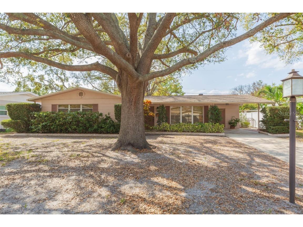 4517 S Renellie Drive Tampa FL 33611 TB8357832 image3