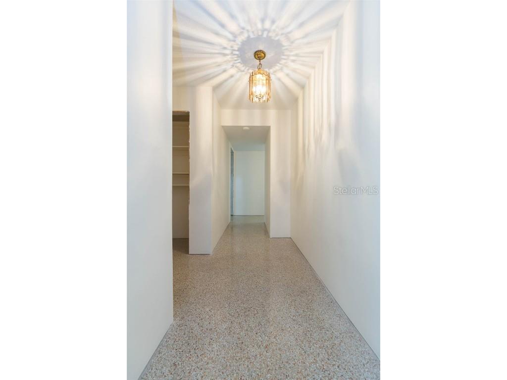 4517 S Renellie Drive Tampa FL 33611 TB8357832 image6