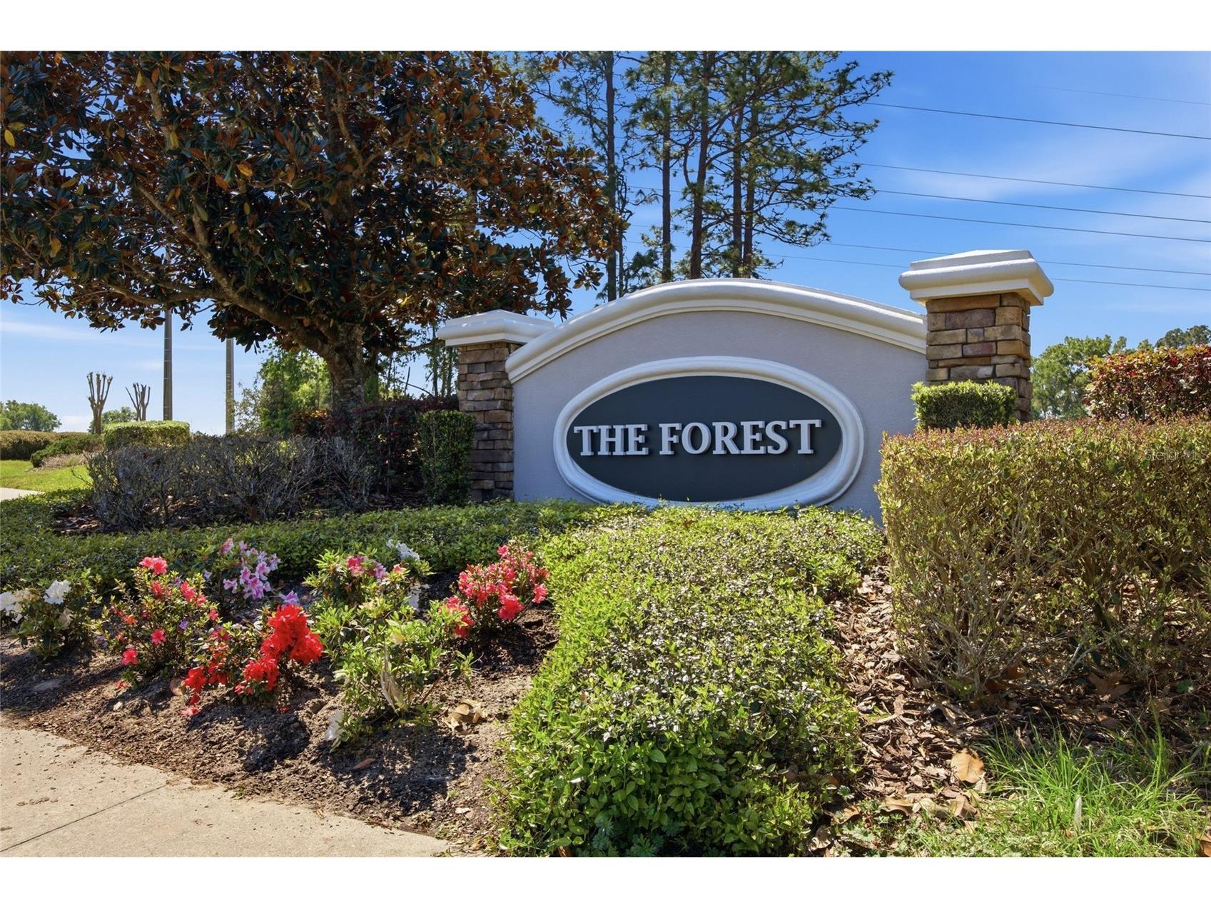 4517 SE 28th Street Ocala FL 34480 TB8487255 image43