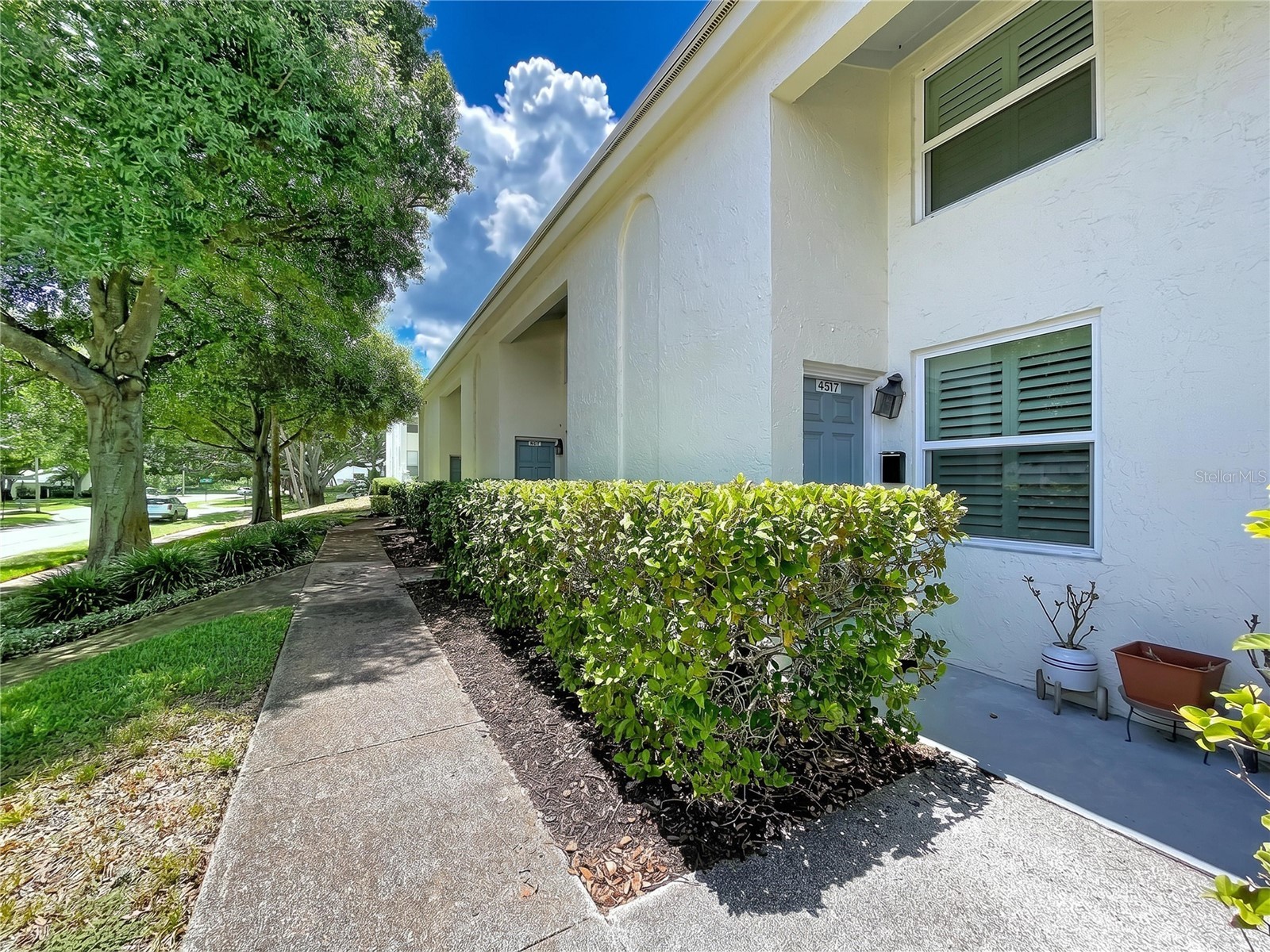 4517 W La Villa Lane Tampa FL 33611 TB8526645 image44