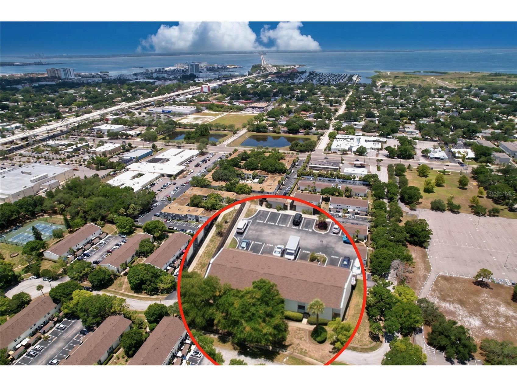 4517 W La Villa Lane Tampa FL 33611 TB8526645 image48