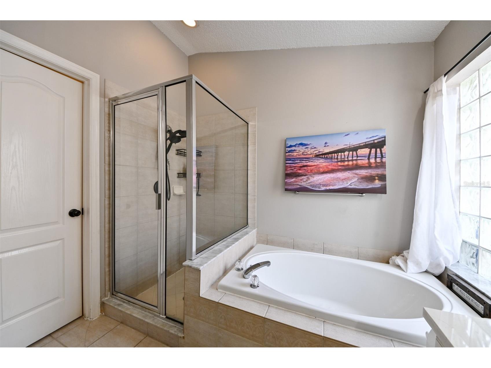 4517 Wild Plum Lane Lutz FL 33558 TB8502775 image25