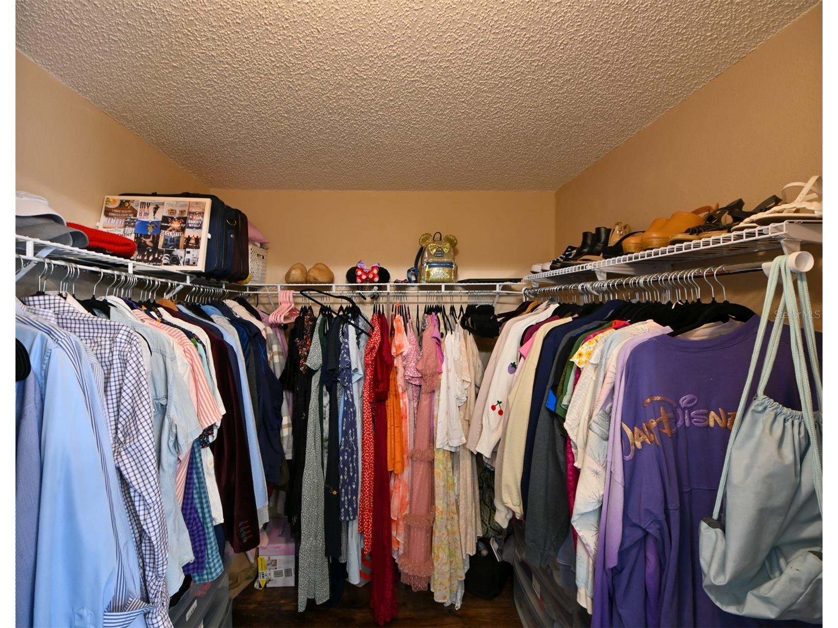 4517 Wild Plum Lane Lutz FL 33558 TB8502775 image26