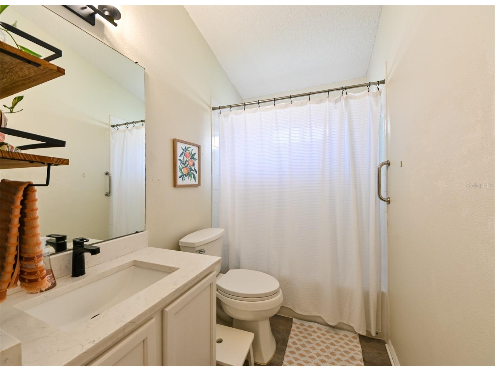 4517 Wild Plum Lane Lutz FL 33558 TB8502775 image30