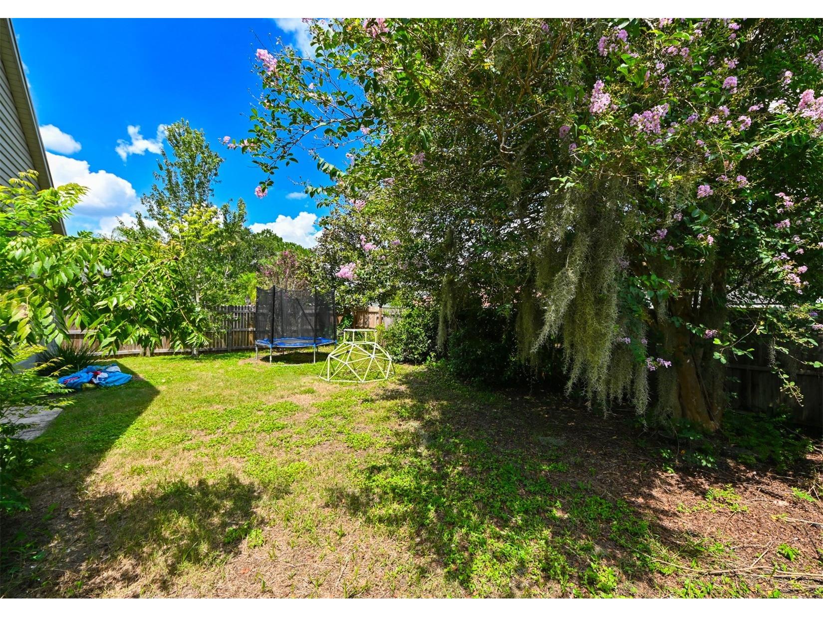 4517 Wild Plum Lane Lutz FL 33558 TB8502775 image36