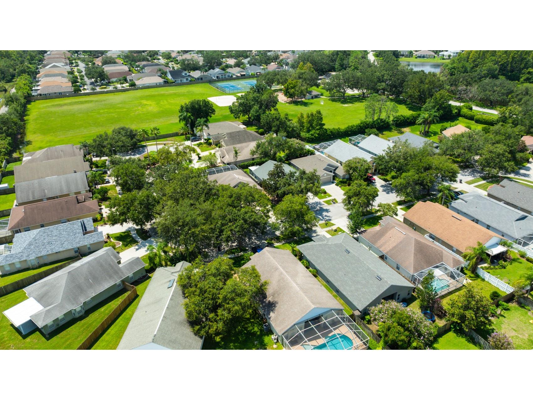 4517 Wild Plum Lane Lutz FL 33558 TB8502775 image4