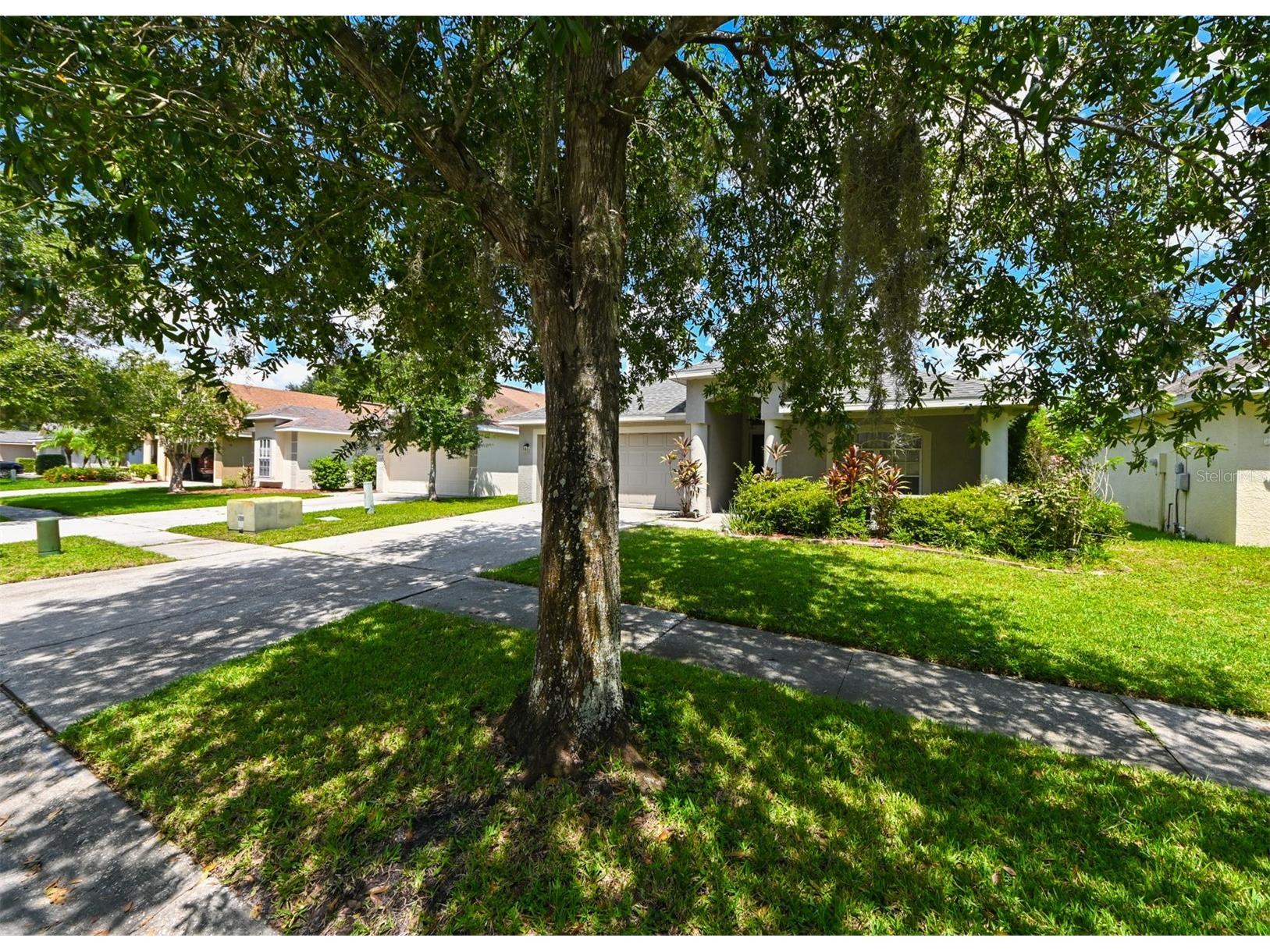 4517 Wild Plum Lane Lutz FL 33558 TB8502775 image41
