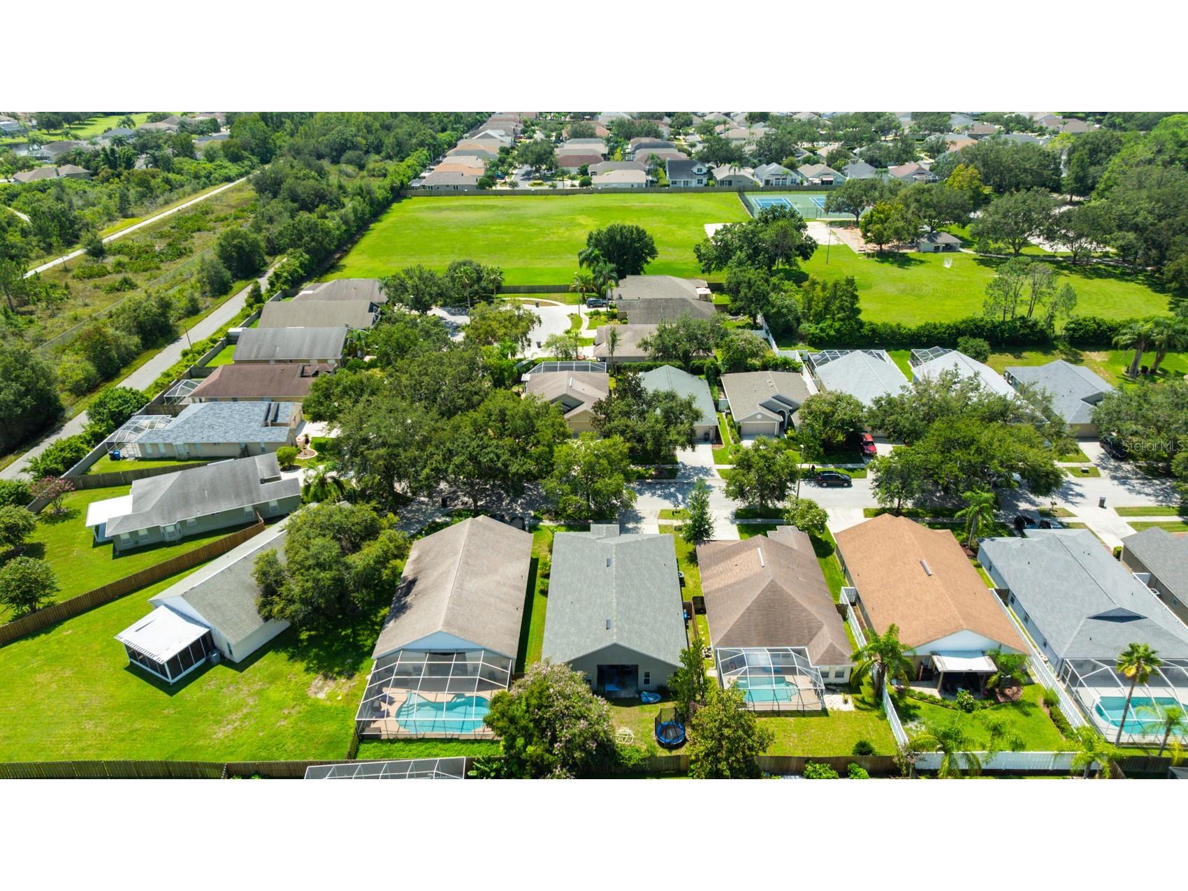 4517 Wild Plum Lane Lutz FL 33558 TB8502775 image46