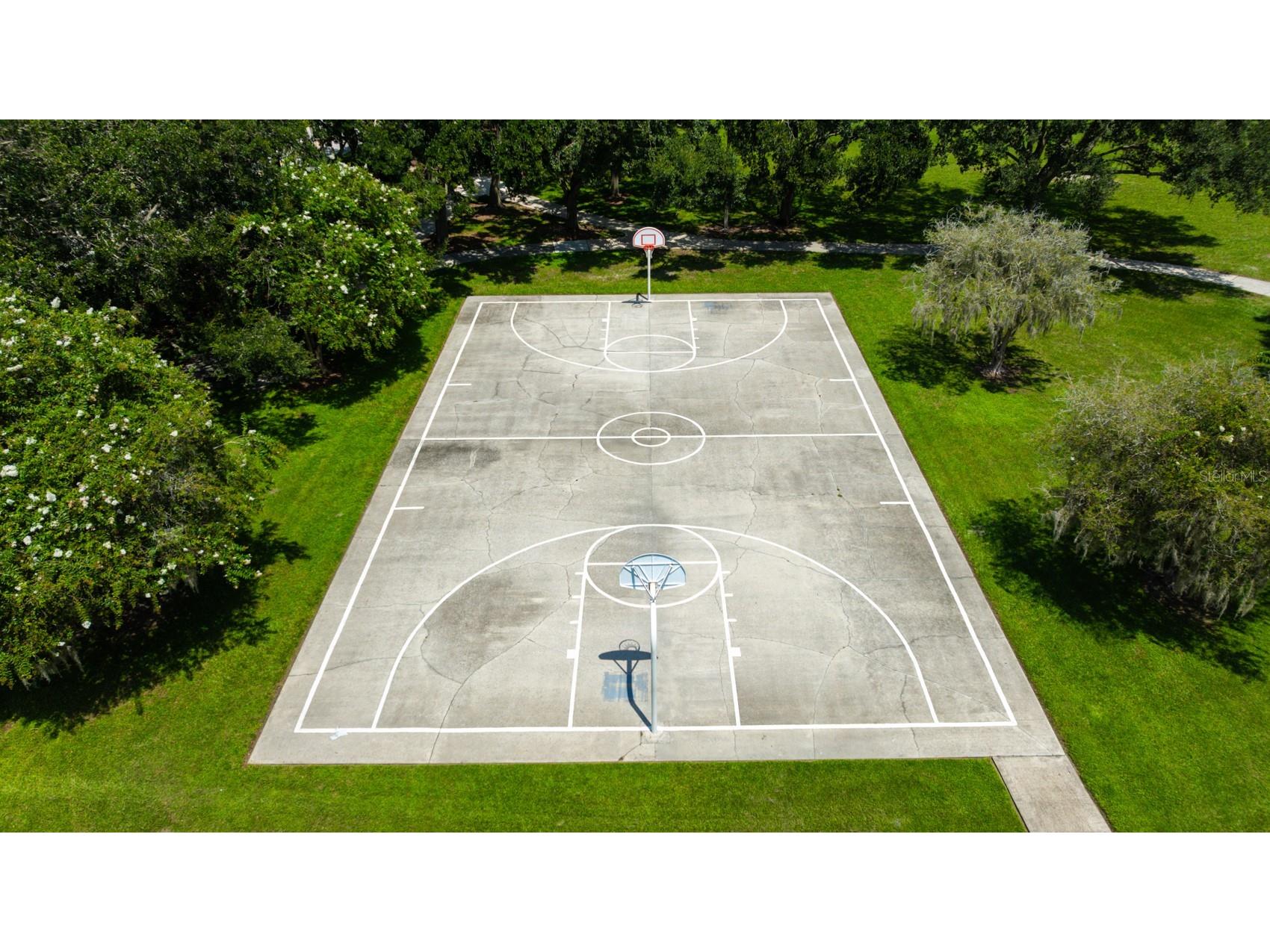 4517 Wild Plum Lane Lutz FL 33558 TB8502775 image51