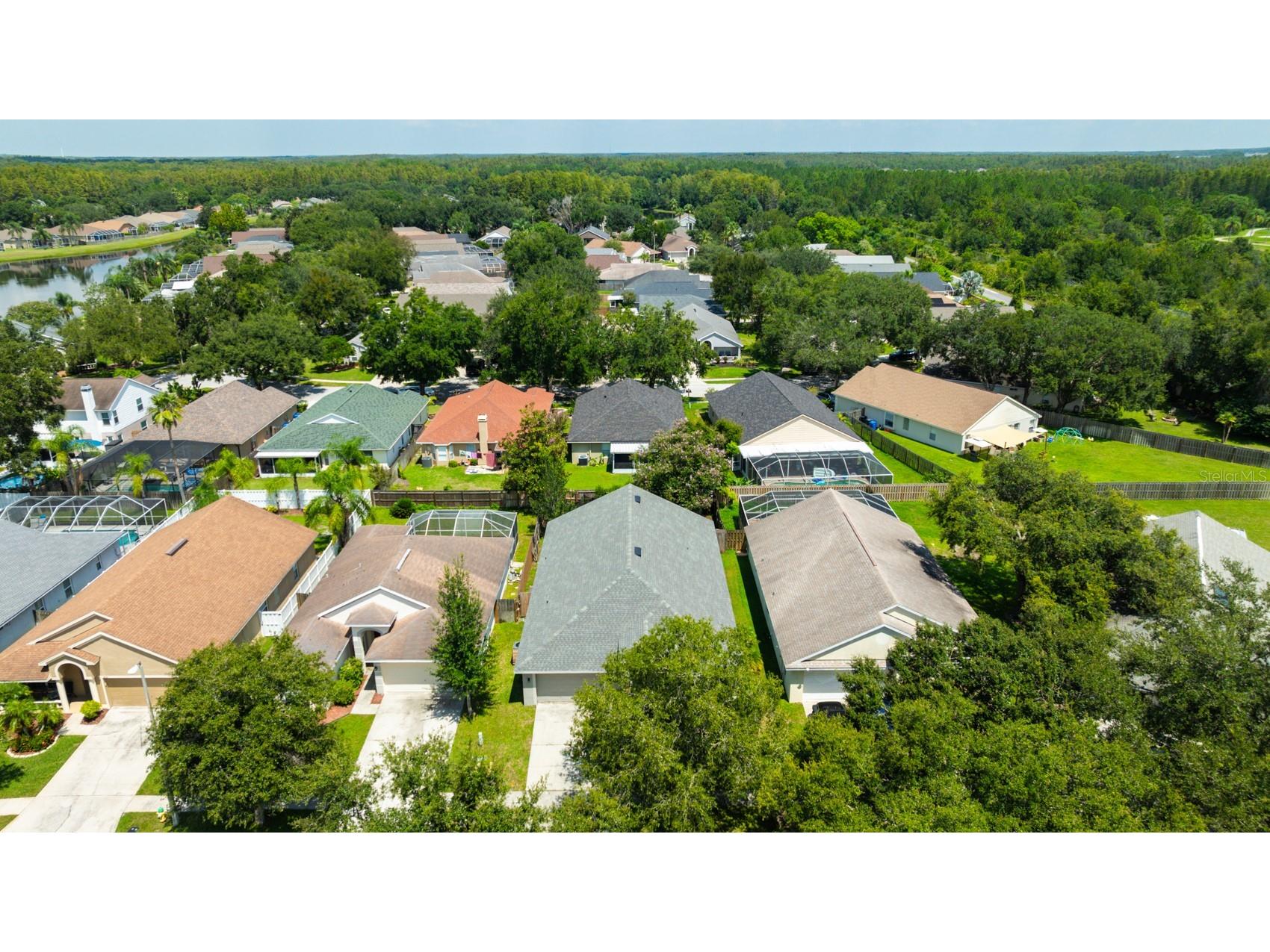 4517 Wild Plum Lane Lutz FL 33558 TB8502775 image53