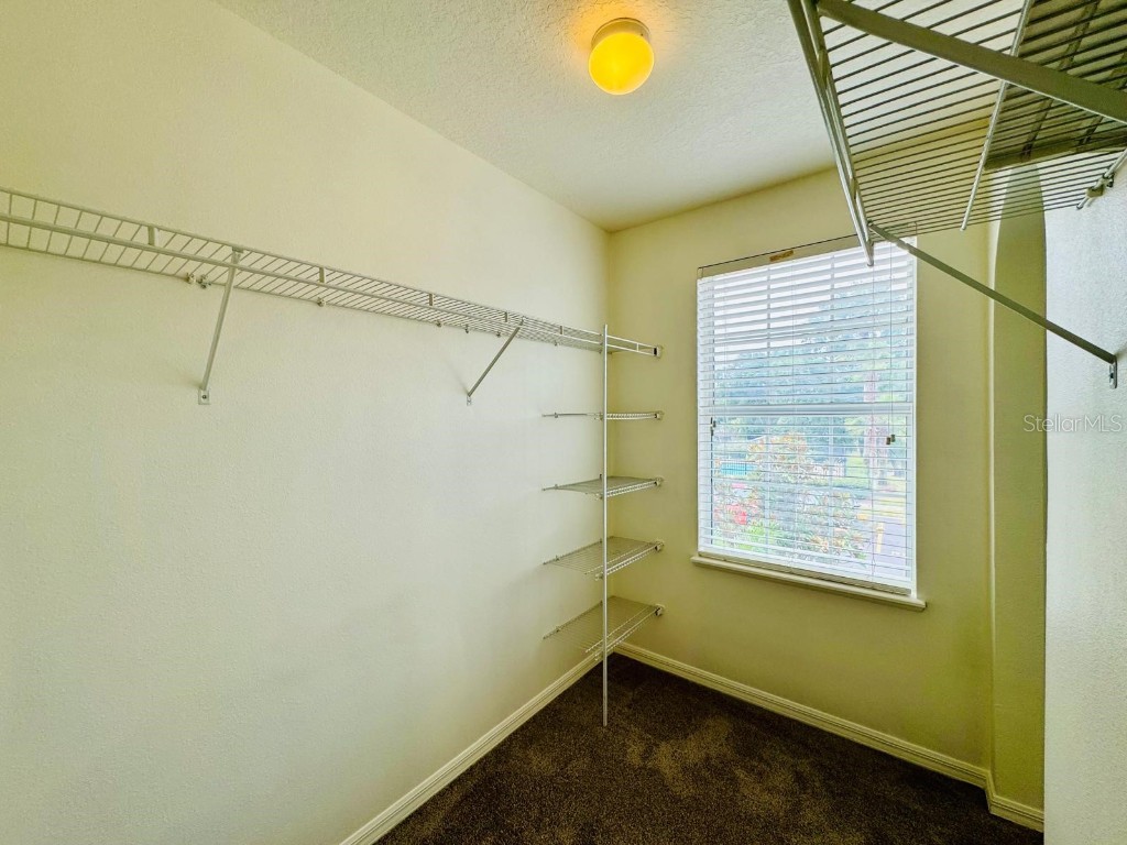 4518 Ashburn Square Drive Tampa FL 33610 TB8440307 image13