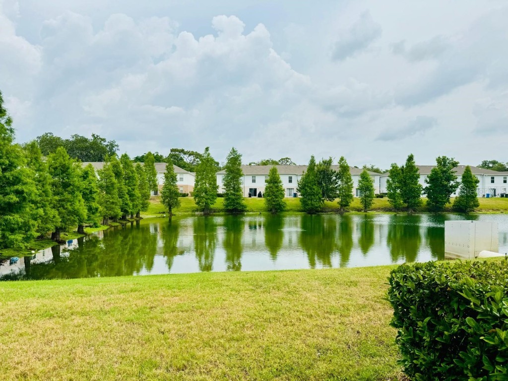 4518 Ashburn Square Drive Tampa FL 33610 TB8440307 image4