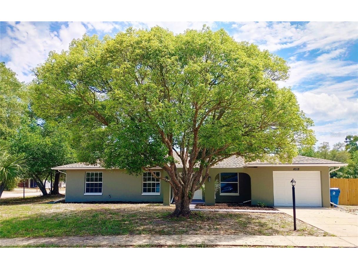 4518 Lakeshore Avenue Spring Hill FL 34606 U8196211 image1