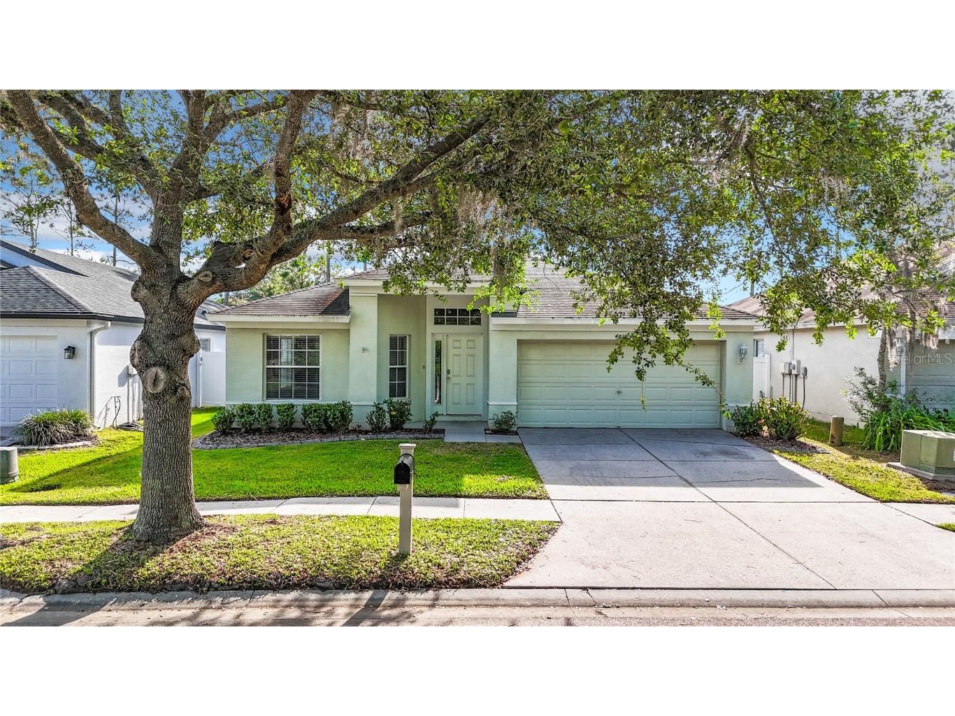 4518 Marchmont Boulevard Land O Lakes FL 34638 T3519223 image1